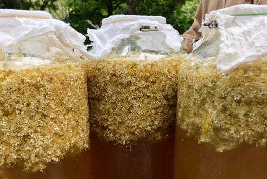 Food Preparation & Preservation - Regenerative Stewardship Opportunity