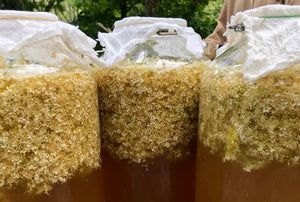 Food Preparation & Preservation - Regenerative Stewardship Opportunity