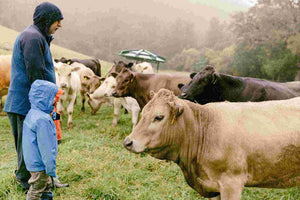 Animal Care - Regenerative Stewardship Opportunity